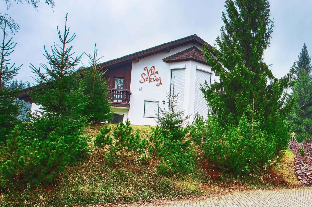 Holiday Home In Harrachov 33511 Buitenkant foto